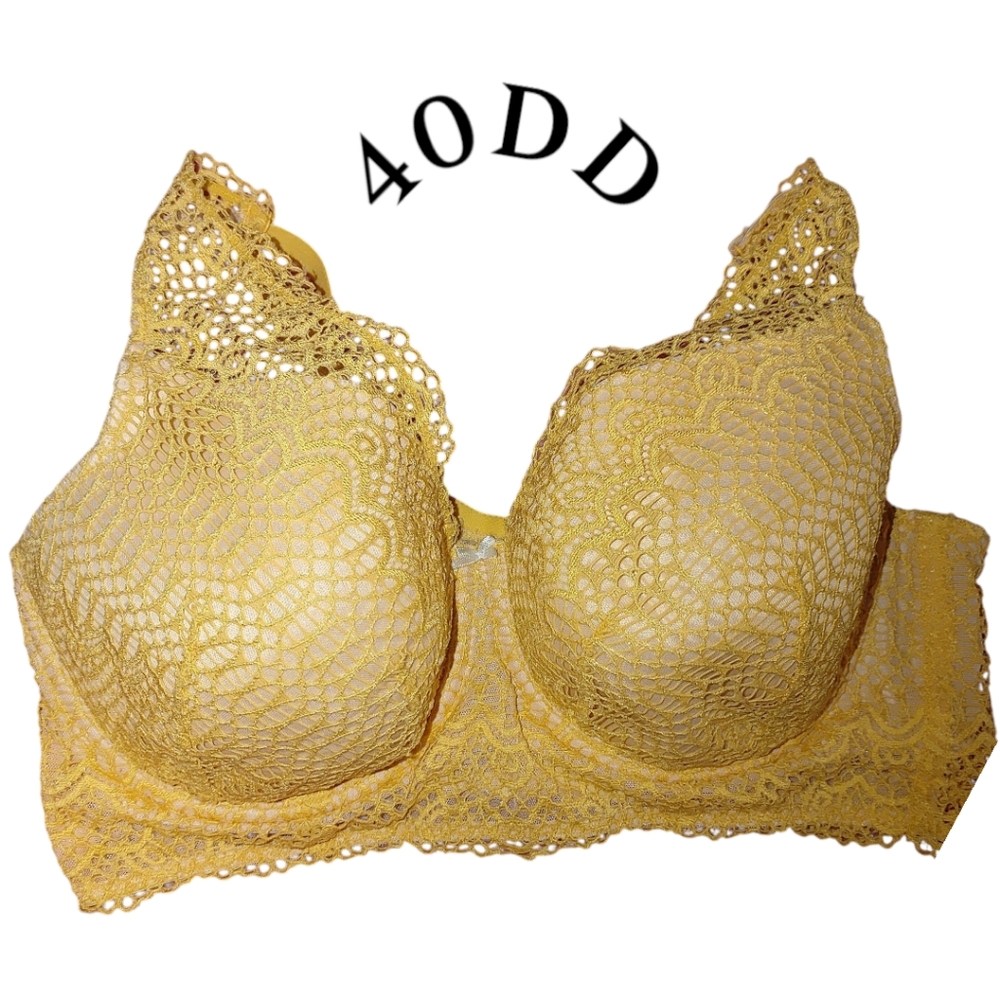 ʕ·ᴥ·ʔ Cacique Corset Plus Size Bra 40DD